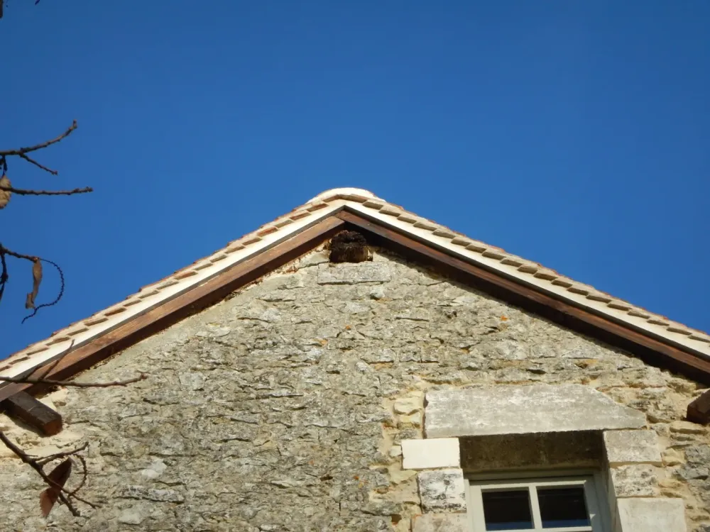 10 bellême nocé colonard orne perche 61  chaux couverture tuile plate anciennes faîtage rives gouttières zwebp